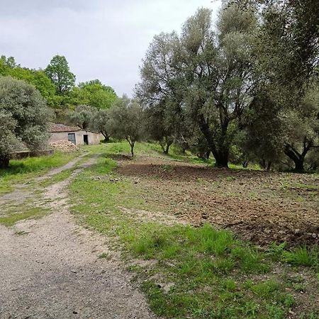 B&B Le Casette SantʼOnofrio Екстериор снимка