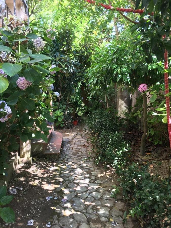 B&B Le Casette SantʼOnofrio Екстериор снимка