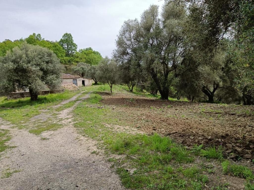 B&B Le Casette SantʼOnofrio Екстериор снимка